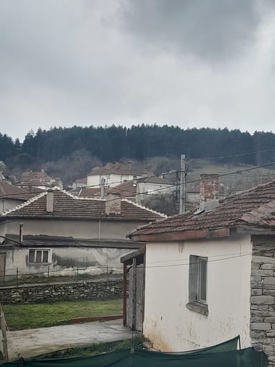 The image depicts a residential area within Topolovgrad, Bulgaria, under an overcast sky. In the immediate foreground to the right, a small, single-story structure with weathered white stucco walls and a stone-clad corner features a narrow, light-framed vertical window and a terracotta-tiled roof. A dark green mesh barrier is visible at its base. A concrete surface extends from the base of this structure, leading to a patch of green grass bordered by a low dry-stone wall. Beyond this, an older, rectangular building with mottled grey stucco walls and a white-framed horizontal window is visible.
Numerous residential buildings with reddish-brown terracotta-tiled roofs and light-colored facades are scattered across the mid-ground, ascending a gentle slope. Multiple brick and stucco chimneys protrude from these rooftops. Utility poles, including a prominent grey concrete pole in the mid-right, support a network of overhead power lines that traverse the scene. The background is dominated by a tree-covered hill densely forested with dark evergreen trees, rising against a uniformly grey, cloudy sky. No individuals are present in the scene.
