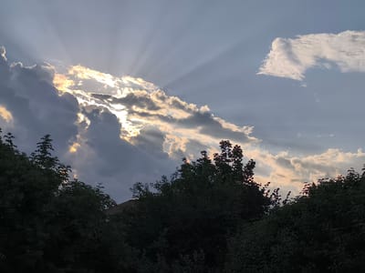 The image captures a dramatic sky scene over Dillingen an der Donau, Germany, likely during sunset or sunrise. The sun's rays are powerfully breaking through a cluster of dark, heavy clouds, creating distinct crepuscular rays that fan out across the lighter blue sky. These rays are tinged with warm, golden light, illuminating the edges of the clouds and casting shadows. In the foreground, a dense, dark silhouette of trees and foliage dominates the lower portion of the frame. A hint of a red-tiled roof is visible through a gap in the trees on the left, suggesting the presence of residential buildings. The overall impression is one of natural grandeur and a powerful display of atmospheric phenomena.