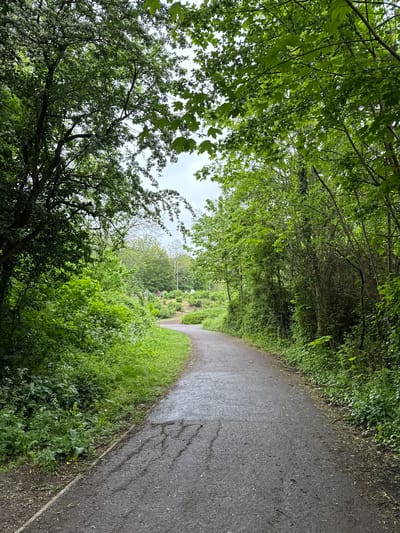 A paved path curves through a densely wooded area in Milton Keynes, United Kingdom. The path, damp from recent rain, is bordered by lush green vegetation on both sides. Trees arch overhead, forming a canopy of leaves. In the distance, two figures are visible on the path, their forms partially obscured by the surrounding foliage. The sky is overcast and the overall lighting is subdued.