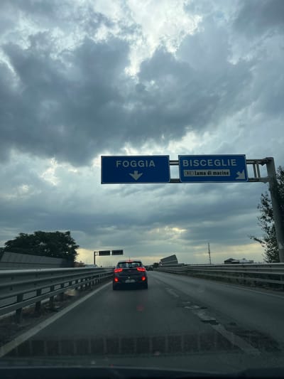 A highway sign indicating directions to Foggia and Bisceglie is visible against a cloudy sky. The sign for Foggia points straight down, while the sign for Bisceglie points to the right, also showing "SC lama di macina." Below the signs, a car is driving on a wet road. The environment appears to be a highway with guardrails and some trees and buildings in the distance. The scene is captured from the perspective of someone inside a vehicle.