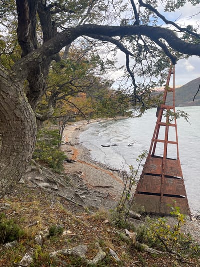 The scene depicts a shore area in Lapataia, Argentina, as viewed from an elevated, partially obscured vantage point among trees. The foreground is dominated by tree branches with visible bark texture and lichen growth. The middle ground presents a shoreline with pebbles transitioning into water. A metal structure, possibly part of a pier or installation, extends from the land into the water. Further along the shore, there are faint, barely discernible figures of people, some near the water's edge. The background shows the lake surface stretching into the distance, with a distant land mass or shoreline barely visible through the atmospheric conditions. The vegetation, particularly on the bank, is mixed, including some with autumnal colors. The overall tone suggests a partially overcast day.