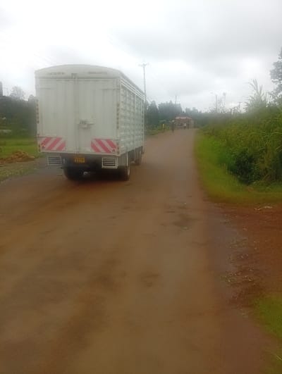 A white box truck travels on a rural dirt road. Its rear displays red and white striped reflectors and a yellow license plate. The road is damp and muddy. Green vegetation lines the right side of the road, while a sparse landscape sits to the left. In the distance, several figures and a small structure are visible. Overhead, the sky is overcast.