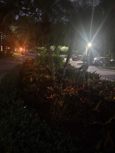 The image depicts a dimly lit street scene at night, possibly in Delray Beach, Florida, United States of America, characterized by lush vegetation. In the foreground, dense, dark green bushes line a paved walkway. Beyond the walkway, a strip of colorful foliage with red and yellow leaves is visible, interspersed with palm trees. The background reveals a street or parking lot with several cars parked. A bright streetlight, casting a starburst effect, illuminates the scene from the upper right, creating strong lens flares. In the distance, another orange streetlight is visible, casting a warm glow on the surroundings. The overall ambiance is that of a tropical residential or commercial area at dusk or night.