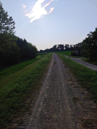 A gravel path runs through a grassy rural landscape under a bright, partly cloudy sky. The path is in the foreground, leading away from the viewer and curving to the right. On the left, a dense line of trees borders the path. To the right of the path, a flat grassy field stretches towards the horizon. In the middle distance, a small, weathered building with a tiled roof is visible near a fork in the path. The sky is a pale blue with a few wispy white clouds. The scene appears to be located in a rural area near Castelfranco Emilia, Italy, given the presence of agricultural fields and a small rural building. No people or animals are visible in the image.