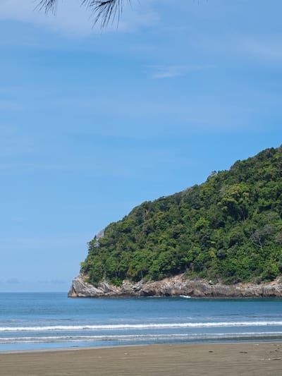 The image captures a serene coastal scene in Naga Umbang, Indonesia. In the foreground, a sandy beach stretches across the lower portion of the frame, with faint wave patterns etched into its surface. The ocean water, a clear blue-green, gently laps at the shore, creating small, foamy waves.

A lush, green, tree-covered landmass dominates the right side of the image. The vegetation grows densely from the peak of the hill down to a rocky base that meets the water. A portion of its rocky cliff base is visible.

The sky above is clear and blue, with some hints of thin cirrus clouds. A single branch of pine-like needles hangs from the top of the frame.
