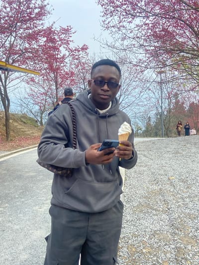 An individual stands outdoors in Caijia, China, facing the camera. The subject is a male wearing a dark gray hooded sweatshirt over a white collared shirt, dark gray cargo pants, and dark sunglasses with reddish frames. A small, brown Louis Vuitton monogrammed shoulder bag is visible on his left side. In his left hand, he holds a blue smartphone, and in his right hand, he holds a vanilla-colored soft-serve ice cream cone. The ground beneath him consists of a paved asphalt surface on the left and a gravel path on the right. The background features numerous trees with vibrant pink and red blossoms, indicating a spring season, under an overcast sky. A second individual, visible from the back and wearing a dark cap, is present on the paved path behind the primary subject. Three additional figures are visible in the distant background on the right side of the image. A yellow metal structure is partially visible on the far left.