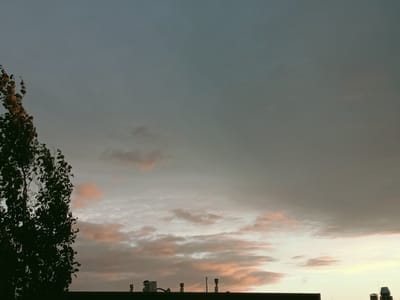 A silhouetted tree with sparse leaves stands on the left side of the frame against a gradient sky. The sky transitions from a muted gray at the top to softer hues of pale yellow and pink near the horizon, where a strip of clouds is visible. A dark, flat rooftop runs along the bottom of the image, with several cylindrical vents or chimneys protruding from it. The overall scene suggests an outdoor environment, possibly a city or town, at dusk or dawn.