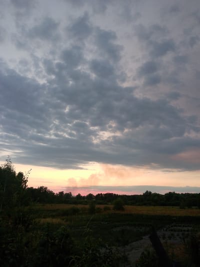 A wide-angle photograph captures a twilight scene over a rural landscape in Dytiatky, Ukraine. The sky is filled with dark, textured clouds that occupy the upper two-thirds of the frame, with hints of a soft pink and yellow glow from the setting sun near the horizon. Below the clouds, a thin band of lighter sky transitions into a silhouetted treeline and fields. The foreground consists of dark, dense vegetation, including bushes and tall grasses, with a fallen log visible in the lower right corner. The overall impression is one of a serene, natural environment at dusk.