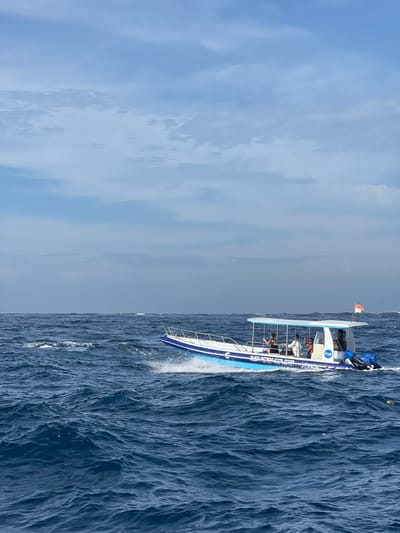 A long, narrow, open-air boat cuts through choppy, dark blue water under a partly cloudy, light blue sky. The boat has a white roof supported by metal bars and is filled with people. It has blue accents and lettering on the side. White water splashes from the front of the boat as it moves forward. The sky takes up about half the picture, and the water and boat fill the other half.
