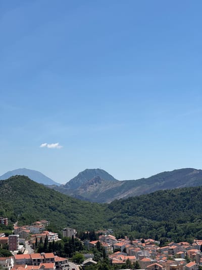 The image presents a view in Nerin, Montenegro, showcasing a mountain range densely covered with green trees. The terrain slopes down to a cluster of buildings with red roofs indicating residential or commercial structures. A clear blue sky dominates the background.