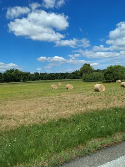 The image depicts a rural landscape with a bright blue sky dotted with white, fluffy clouds. In the foreground, a grassy verge runs along the bottom of the frame, transitioning to a field of dry, golden grass. Several large, round hay bales are scattered across the field. In the mid-ground, a line of dense, green trees forms a natural barrier, with a few smaller trees and bushes interspersed within the field. The background reveals a rolling, tree-covered landscape under the expansive sky. The scene is characteristic of the countryside around Volyně, Czechia, likely captured during the summer months. There are no people or animals visible in the image.