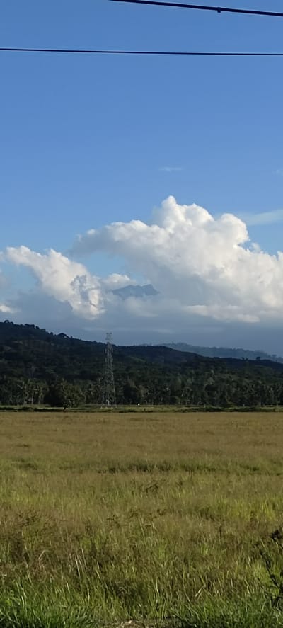 The image captures a rural landscape near Meunasahpulo, Indonesia. A field of tall, dry grass dominates the foreground. Beyond the field lies a line of dense trees and shrubbery, behind which low hills rise, capped by a partly cloudy sky. An electrical transmission tower stands amidst the trees. A glimpse of distant mountain peaks is visible through a gap in the clouds. Two power lines are visible in the upper portion of the frame.