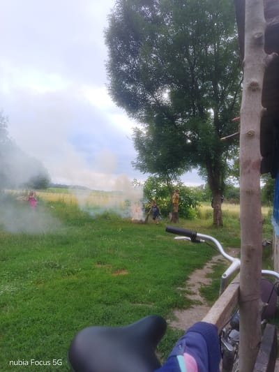 In Sestrynivka, Ukraine, an outdoor scene unfolds with a dirt path winding through a grassy field under a cloudy sky. A large tree with dense green foliage dominates the right side of the frame, casting shadows. In the foreground, the handlebars and seat of a bicycle are visible, suggesting a first-person perspective.
Further into the field, a small fire burns, emitting smoke that drifts across the landscape. Two children are present. One, a young girl in a pink shirt, stands near the smoke, her hands raised. Another child, wearing a yellow dress, stands on a tree stump, facing away from the camera. A third child, in a blue shirt and dark shorts, is by the fire, holding a stick. The background features a field of tall, golden grass and scattered trees under a hazy sky. A wooden structure, possibly part of a building, is visible on the far right. The overall atmosphere is one of rural life with children engaged in outdoor activities.