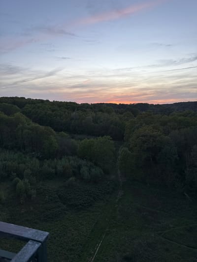 This image captures a serene landscape view at either sunrise or sunset, looking over a dense forest from an elevated perspective. The sky, occupying the upper portion of the frame (when correctly oriented), displays a beautiful gradient of colors, transitioning from soft light blue on the left to warm pinks, oranges, and pale yellows towards the right horizon, indicative of twilight. Wispy, delicate clouds and several faint linear contrails are visible across the sky.
A prominent line of dark, heavily treed hills or a ridge forms the horizon, separating the colorful sky from the expansive forest below. This distant tree line shows a subtle orange glow where it meets the brightest part of the sky, suggesting the sun is just below it. The middle ground and foreground are dominated by a vast, dark green forest, covering what appears to be a valley or undulating terrain. The trees are deep in shadow, creating a rich, textured tapestry of foliage. Within the forest, faint, lighter lines suggest winding paths or clearings.
In the bottom right corner, a dark, metallic railing or part of a viewing platform is visible, indicating the photograph was taken from an elevated vantage point, likely a lookout. The scene conveys a peaceful and contemplative mood, showcasing the natural beauty of the area, possibly near Bures-sur-Yvette, France. No discernible text is present in the image.