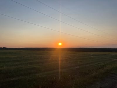 The image depicts a sunset scene over a rural landscape in Zheglartsi, Bulgaria. The sun, a bright orb, is positioned near the horizon, casting a warm orange glow across the sky and the foreground. Several power lines stretch horizontally across the upper portion of the image. The landscape below consists of a vast, grassy field, with a dark line of trees forming the horizon. The overall atmosphere is serene and natural, indicative of a rural setting at dusk. There are no people or animals visible in the image.