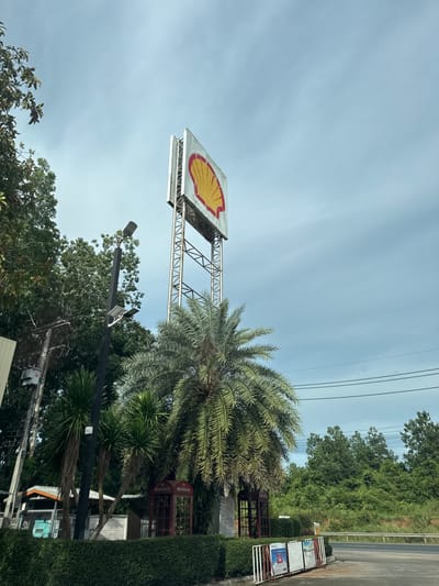 The image shows a Shell gas station sign in a tropical setting. The sign, with the iconic yellow and red shell logo, is mounted on a metal structure. A large palm tree is prominently featured next to the sign, its fronds reaching towards the sky.

In the background, lush green trees and vegetation suggest a rural or suburban location. A paved road runs alongside the property, with power lines crisscrossing the sky. Several white metal racks holding posters or advertisements are visible on the right side of the image, near a red telephone booth.

The sky is overcast with a pale blue hue, indicating daytime. The overall impression is one of a typical gas station in a warm climate. No people or specific activities are depicted, and no legible text is visible on the main subjects. The image appears to be taken from a slightly low angle, looking up towards the sign and the sky. The location context is Tambon Chapthawi, Thailand.