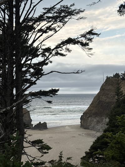 The image depicts a coastal scene in Arch Cape, United States. In the foreground, a large, dark tree trunk dominates the left side, with its branches extending across the frame and silhouetted against a cloudy sky. The branches are bare in places, with clusters of dark green needles on others.
The middle ground reveals a sandy beach, with gentle waves rolling in from the ocean. The water is a muted gray, reflecting the overcast sky. Two large rock formations are visible on the beach, one a tall, jagged spire and the other a more rounded, massive boulder.
To the right, a steep, rocky cliff face rises from the beach. The cliff is covered in patches of vegetation, with dark green evergreen trees dotting its summit. Another smaller, dead tree stands starkly on the cliff face. The sky above is a blend of light gray clouds with hints of pale blue peeking through. The overall atmosphere is serene and somewhat moody, typical of a cloudy coastal day. There are no people or animals visible in the scene.