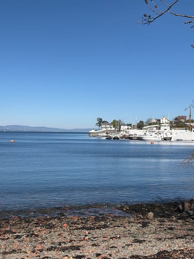 The image captures a serene, clear day in Nærsnes, Norway, oriented horizontally to depict a wide coastal or fjord landscape. The scene is dominated by a vast, bright blue sky that fills the upper portion of the frame, showing no clouds and a smooth gradient from darker blue at the top to lighter blue near the horizon.
Below the sky, a calm body of water, likely a fjord, stretches across the middle of the image. The water's surface exhibits subtle ripples, reflecting the blue sky. Towards the center-left of the water, a small orange buoy is visible. On the far side of the water, along the left edge of the image, a collection of white buildings, including houses and what appear to be boat sheds or larger structures, line the shore. Numerous white boats, some covered and others resembling yachts, are docked or moored near these buildings. Sparse trees and bare branches are interspersed among the structures, suggesting late winter or early spring. In the far distance, across the water on the lower left horizon, a faint silhouette of rolling hills or mountains can be seen.
The immediate foreground on the right side of the image features a rugged, earthy shoreline or bank composed of dark and reddish-brown gravel, small stones, and debris. A bare tree branch with small, dark twigs extends into the upper right corner of the frame.
No people or specific activities are visible, emphasizing the tranquility of the setting. The bright, clear lighting suggests it is daytime, likely a sunny morning or afternoon. No discernible text is present in the image. The overall mood is peaceful and calm, showcasing a picturesque Norwegian waterfront.