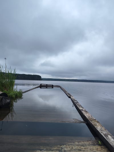The image shows a partially submerged wooden pier on a calm lake. Tall green grass grows on the left side of the pier, and a dense forest lines the opposite shore. The sky is overcast with gray clouds. The scene is captured from a low angle, looking across the water towards the forest. The location is identified as Заводоуспенское, Russia.
