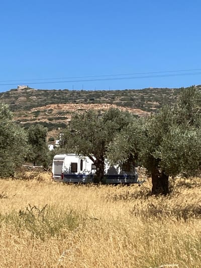 The image displays an outdoor scene in a rural, arid setting, consistent with the landscape of Πλατύς Γιαλός, Greece. The foreground consists of a dense field of dry, golden-brown vegetation. In the midground, two white recreational caravans are stationary, positioned among several olive trees with green foliage and dark trunks. The caravan on the left is more distinctly visible, featuring white siding with a horizontal blue stripe along its lower half and multiple windows. The second caravan, to its right, is partially obscured by the first caravan and the surrounding trees. No individuals are present. The background is dominated by a large hill or low mountain range covered in sparse green and brown vegetation and exposed lighter-colored soil. A small, dark structure, possibly a ruin, is visible on a rocky protrusion near the top-left peak of the hill. Thin horizontal utility lines traverse the upper portion of the frame, silhouetted against a clear, vibrant blue sky.