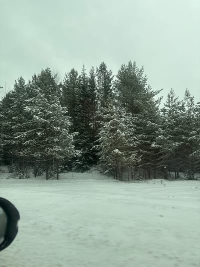 The scene depicts a snow-covered landscape with a dense forest on the left. The ground is completely covered in snow. The trees, primarily conifers, are also dusted with snow. The sky is overcast. There is a visible object in the lower right of the image, appearing to be part of a vehicle. The image appears to be taken during the day. The location is presumed to be near or within the vicinity of Chernovskoye, Russia, based on the query.