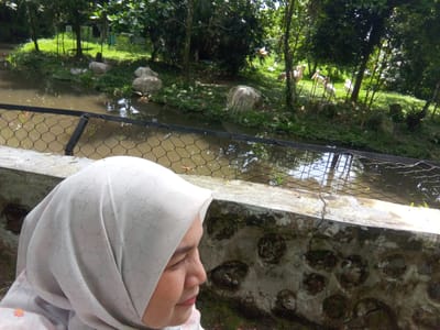 A medium shot captures a woman wearing a light-colored hijab and an outfit with a floral pattern, positioned in the foreground and looking towards the right. Behind her, a body of water, possibly a pond or canal, is visible, separated from her by a concrete barrier and a black net fence. The water reflects the surrounding trees and sky. On the far bank, several large rocks are scattered amongst lush green vegetation and trees. In the distance, four large white birds, likely pelicans, are standing on the grassy bank near the water's edge. The scene appears to be a wildlife enclosure or a park, possibly within the city of Suka Makmur, Indonesia, given the presence of tropical foliage.