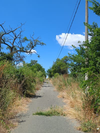 The image shows a narrow, unpaved path leading into the distance, flanked by dry, tall grass and lush green foliage on either side. A power line stretches across the bright blue sky, supported by a concrete utility pole on the right. The path appears to be in a rural or semi-rural area. Based on the provided information, the location is the city of Kozare, Bulgaria. The scene is set outdoors on a sunny day with a few scattered clouds. No people or specific actions are depicted.