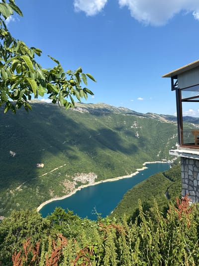 The image captures a panoramic view from a high vantage point, likely a balcony or viewing platform, overlooking a vast, tree-covered mountain range and a strikingly blue body of water. In the foreground, green foliage from a tree branches into the frame, partially obscuring the view and adding a sense of depth. The balcony structure, made of stone and metal, is visible at the top left, suggesting human presence and infrastructure.
The scene depicts a serene natural landscape under a clear blue sky with scattered white clouds, indicating pleasant weather during the daytime. The sun casts shadows across the mountains, highlighting the contours of the terrain and the dense forestation. The body of water, possibly a lake or a fjord, winds its way through the valley, with a lighter-colored, rocky shoreline visible in places. A small boat can be seen on the water, suggesting recreational activity or transport.
The overall mood is one of tranquility and awe at the expansive natural beauty. The location, identified as Rudinice, Montenegro, is known for its dramatic landscapes, which this image clearly exemplifies. The image does not contain any visible text.