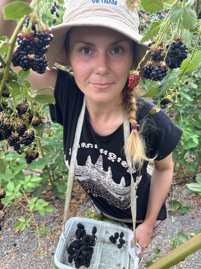 A person wearing a bucket hat and a black t-shirt with a graphic print is picking blackberries in an outdoor setting. The person's hair is in a braid. They are holding a small plastic container filled with blackberries. The scene appears to be in a field or garden with many blackberry bushes and green leaves. The lighting suggests it is daytime. The image is taken from a close-up perspective. Text on the hat reads "VIETNAM".