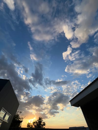 The image shows a wide-angle view of a sunset over a rural or semi-rural area, likely the city of Ленинское сельское поселение, Ukraine. The sky is filled with a dramatic display of clouds, ranging from wispy white formations to darker, more ominous gray masses. The setting sun casts a warm, golden glow on the horizon, illuminating the edges of the clouds and creating a gradient of orange and yellow hues that transition into the deep blue of the upper sky.
In the foreground, two structures are partially visible. On the left, the side of a modern, gray, corrugated building is angled upwards, featuring two rectangular windows reflecting the sky. On the right, the angled roofline of another building, with a corrugated metal roof and white soffits, juts into the frame from the top right corner. Silhouetted trees are visible between the buildings and in the distance, their branches stark against the bright sky and sunset. The overall scene captures a moment of natural beauty at the end of the day, with man-made structures framing the celestial display.