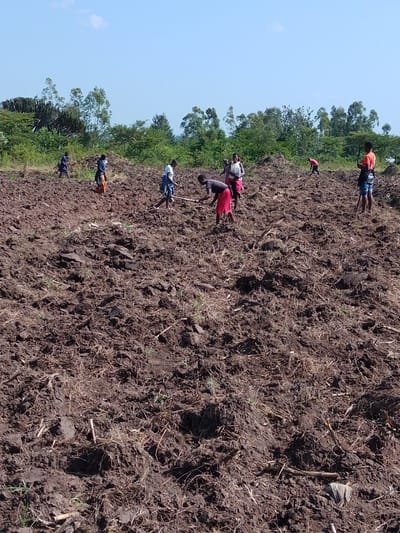 A group of people work a plowed field under a bright sky. The soil is dark brown, with patches of dry grass and remnants of previous crops. The workers, dressed in casual clothes, are scattered across the field, some bent over tilling the soil, others standing and resting. A line of trees and foliage forms the horizon behind the field, adding a backdrop of green to the scene.