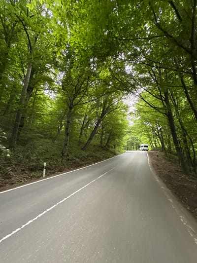 The image depicts a paved road winding through a lush, green forest in an unknown location in Armenia. Tall trees with dense foliage form a canopy over the road, creating a tunnel-like effect. Sunlight filters through the leaves, casting dappled shadows on the asphalt. A white van is visible in the distance, driving away from the viewer on the right side of the road. The roadside on the left is lined with a white and black marker post. The overall impression is one of a scenic drive through a verdant natural landscape.