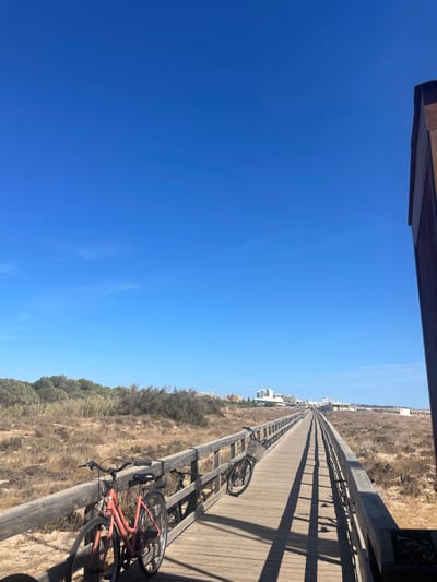 A long, weathered wooden boardwalk, featuring prominent wooden railings on both sides, extends diagonally from the lower right foreground into the distant horizon. The scene is located along a coastal stretch, consistent with Praia da Falésia in Albufeira, Portugal. Two bicycles are parked on the left side of the boardwalk, leaning against the railing. The closest bicycle is a reddish-orange step-through model. A second, dark-colored bicycle with a front basket is visible further down the path. The surrounding terrain consists of dry, parched, brownish-yellow coastal vegetation with scattered green shrubs and trees on the left. In the distant background, a cluster of multi-story white buildings suggests an urban or resort area. Overhead, the sky is uniformly clear and bright blue. Strong, direct sunlight from the right casts long, distinct shadows of the boardwalk railings across the wooden planks. No human figures are present.