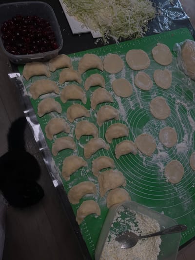In Tikhoretsk, Russia, a dimly lit kitchen counter is the setting for food preparation. A large plastic container filled with dark red cherries sits to the left. To the right, a pile of shredded cabbage rests on a white surface. In the center, a green silicone baking mat is dusted with flour, displaying numerous rounds of uncooked dough and crescent-shaped pierogi. A black cat's silhouette is visible on the wooden floor to the left. Below the pierogi, a clear plastic container holds a mound of cottage cheese, with a spoon resting on top. The scene captures the process of making traditional Russian dumplings.