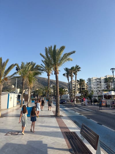 This is a vertical, eye-level outdoor photograph of a sunlit promenade with several palm trees and people walking along it. The scene is set in a coastal town, likely a resort area, with buildings visible in the background. The promenade is paved with light-colored tiles and has a distinct pattern of darker, reddish-brown tiles interspersed. Wooden benches are placed along the promenade, and a road with a pedestrian crossing is visible.

The subjects include several people, mostly walking, with some appearing to be tourists. Two young women in casual summer dresses and one in denim shorts are prominent in the foreground, walking away from the camera. Other individuals are further down the promenade, some with pushchairs. In the background, buildings with balconies and air conditioning units suggest a Mediterranean climate. The sky is clear and blue, indicating good weather, and the strong sunlight casts distinct shadows, suggesting it is likely midday or early afternoon. The presence of palm trees and the architecture point towards a location like Spain, as indicated by the location context.

There are several instances of visible text, primarily on the white building structures in the background. One sign on a blue and white structure reads "SERVICIOS SANITARIOS." Another sign, predominantly blue and white, appears to be a public information or facility sign. There are also smaller signs on kiosks or shops in the background, which are too small to be legible.

The overall atmosphere of the image is relaxed and summery, with people enjoying a stroll in pleasant weather. The scene evokes a sense of vacation and leisurely activity.