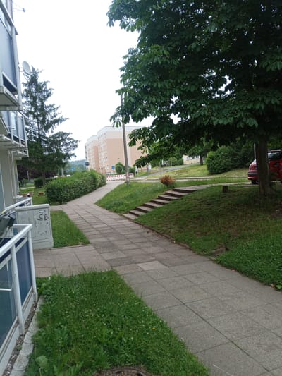 The image shows a paved sidewalk leading through a grassy area with trees and apartment buildings in the background. A large tree with dark green leaves is prominently featured on the right side of the frame, with its branches extending over the sidewalk. On the left, a section of a modern building with balconies and a satellite dish is visible. Further down the sidewalk, there are steps leading up a grassy incline. In the distance, several apartment buildings with light-colored facades and numerous windows can be seen. The environment appears to be a residential area in Wutha-Farnroda, Germany, characterized by urban greenery and multi-story housing. A red car is parked near the large tree. Construction barriers are visible in the middle ground, suggesting possible ongoing work. The sky is overcast.