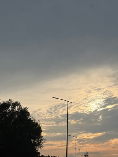 A silhouette of a large, leafy tree is visible on the left side of the frame. A streetlamp stands to the right of the tree, and another streetlamp is visible further in the background. The sky is cloudy with patches of sunlight breaking through, creating an orange and yellow glow near the horizon. A thin line of trees is visible along the horizon line. The scene appears to be an outdoor environment, possibly a park or a suburban area in Rotmanka, Poland, captured during the twilight hours. No people or specific actions are depicted.