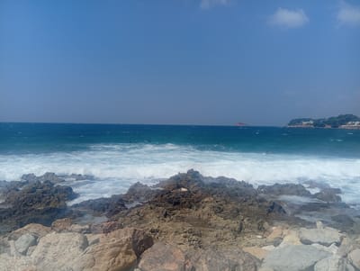 The image shows a rocky coastline with waves crashing on the shore. The sea is a deep blue, and the sky is clear and bright. In the distance, a small island can be seen, as well as a coastline with buildings and trees. The foreground is dominated by large, weathered rocks and pebbles. There are no visible people or animals in the immediate foreground. The scene appears to be a natural landscape with some signs of human development in the distance. The image could be a view of the coast of Bandol, France, a town known for its rocky shores and proximity to islands.