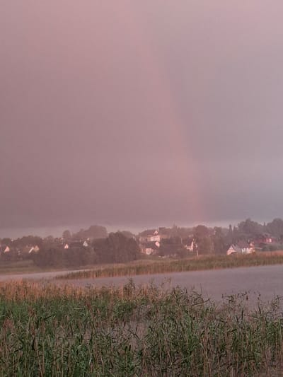 The image depicts a serene landscape in Слабодкаўскі сельскі Савет, Belarus, likely during a hazy dawn or dusk, with a soft, diffused light casting a pinkish hue over the scene. In the foreground, dense green reeds and stalks line the edge of a calm body of water. Across the water, a village is nestled among trees, with several houses visible, their roofs and walls subtly illuminated. The background features a misty, atmospheric horizon, with trees and rolling hills partially obscured by the haze. A faint, almost imperceptible rainbow can be seen arcing across the sky in the upper right portion of the frame. The overall impression is one of tranquility and natural beauty.