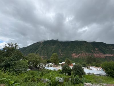 The image displays a panoramic view of the city of Municipio de Valle Grande, Argentina, under an overcast sky. A large, heavily vegetated mountain range dominates the background, with its peaks partially obscured by low-hanging grey clouds and mist. The mountain slopes exhibit dense green foliage, with distinct horizontal bands of reddish-brown exposed earth or rock formations visible on the lower sections. In the midground, a settlement consisting of numerous white-walled buildings with light-colored roofs, some corrugated, is nestled within the landscape. A prominent white building with a pointed roof, resembling a church, is visible near the center of the settlement. Scattered palm trees and other deciduous trees are interspersed among the structures. The foreground is densely packed with various shades of green vegetation, including large trees and undergrowth, partially obscuring the view of the settlement below. The lighting is diffused and soft due to the heavy cloud cover. No individuals or active interactions are visible.
