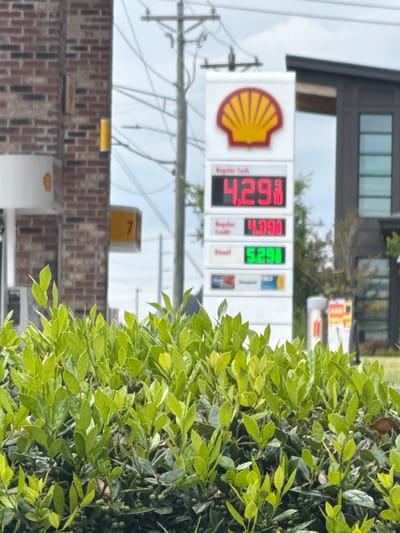 The image shows a Shell gas station in Stone Mountain, United States of America. The gas prices are displayed as follows: Regular Cash $4.29 9/10, Regular Credit $4.39 9/10, and Diesel $5.29 9/10. The gas station is located in a building with a brick facade. A green leafy bush partially obscures the right side of the image. Overhead power lines are visible.