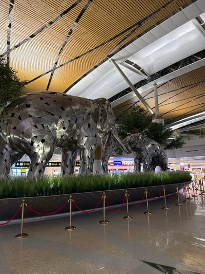 The scene depicts a modern indoor airport terminal in Racha Thewa Subdistrict, Thailand. In the foreground and central midground, two large, stylized animal sculptures constructed from segmented, reflective metallic panels are prominently displayed. The larger sculpture on the left is an elephant, shown standing. To its right, a smaller sculpture of a big cat, likely a tiger, also stands, with its mouth open as if roaring. Both sculptures are situated within a dark-colored planter containing artificial green grass and several small, artificial trees. This display area is cordoned off by a line of golden stanchions linked by red velvet ropes.
The polished, light-colored floor reflects the overhead lighting and portions of the display. In the background, airport signage, including a yellow directional sign with black text indicating gate numbers "S101-S104" and "S114A-S114B," is visible. Further back, shop fronts are discernible, one clearly marked "KING POWER PERFUME" in red lettering. The high ceiling features a complex design with parallel wooden slats interspersed with white, curvilinear fabric panels supported by large, diagonal metallic structural beams. The area is brightly illuminated by artificial overhead lighting. No individuals are visible within the frame.