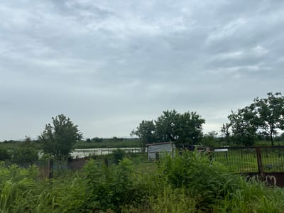 The image depicts a rural landscape under a cloudy sky in the Nigoiti community, Georgia. In the foreground, lush green grass and foliage dominate the scene, obscuring much of the ground. A dilapidated metal fence runs horizontally across the middle ground, separating the foreground from a more open area beyond. To the left, a lone tree stands tall amidst the greenery, with a body of water visible behind it. In the center, a small, makeshift structure with a tarp covering is visible, appearing to be a temporary shelter or shed. A rusty metal gate is present on the right side of the image, partly obscured by vegetation. The background features a dense line of trees and vegetation, with a hazy, mountainous horizon. The overall impression is one of a somewhat unkempt, natural environment. There are no people or animals visible in the frame.