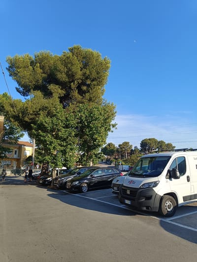 The image shows a street scene in Riccione, Italy. In the foreground, a white Fiat Ducato van is parked, with the "Nikita" logo visible on its side. Behind it, a row of cars is parked, including a black Audi and a black Mercedes-Benz. A large tree with lush green foliage dominates the left side of the image, casting a shadow over the parked vehicles. In the background, buildings and more trees are visible under a clear blue sky with a crescent moon. Two men are standing on the sidewalk, looking at the parked cars. The scene appears to be a residential or commercial street in the afternoon sun.