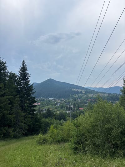 This is a vertically oriented image taken from a cable car ascending a mountain in Tatariv, Ukraine. The foreground is dominated by lush green trees and grass on the right, with a dense forest of coniferous trees on the left. Several parallel cable car wires stretch across the upper portion of the frame, disappearing into the hazy sky.
In the middle ground, a village is nestled into the side of a mountain. Houses with red roofs are scattered among the trees, suggesting a rural or semi-rural setting. The mountain slopes are covered in a mix of dense forest and cleared areas. The background features rolling mountains, with the furthest peaks appearing hazy and faded due to atmospheric perspective.
The sky is overcast with scattered clouds, indicating a potentially mild or slightly humid day. There is no visible text in the image. The overall impression is one of a serene mountain landscape, with the cable car offering a viewpoint over the scenic V-shaped valley and the distant mountain ranges. The activity taking place is passive transit via cable car, allowing for the observation of the natural beauty and the settlement below.