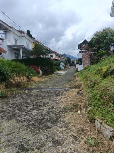 The image depicts an uphill, paved residential street in Pô Kô, Vietnam, under an overcast sky. The street surface is composed of grey interlocking pavers, with some moss and dried vegetation present in the crevices. Approximately one-third of the way up the visible street, several dark, elongated, cylindrical objects (possibly pipes or rebar) are laid horizontally across the pavement.

On the left side of the street, a steep, green grassy embankment with patches of dried vegetation ascends to a row of two-story residential buildings. These houses primarily feature white or light-colored facades with red-tiled roofs. The leftmost visible house has a large, white cylindrical water tank on its roof and a covered porch on the lower level. Overhead power lines run along this side of the street. Green trees and dense shrubbery are situated between the houses and along the embankment.

On the right side of the street, another steep, green grassy slope, also with areas of dried vegetation, rises towards further residential structures. One prominent building on this side features a multi-tiered, dark-colored roof structure and is situated atop a stone-faced retaining wall. No individuals, vehicles, or animals are present in the scene, and no actions or interactions are depicted. The environment appears quiet and residential.