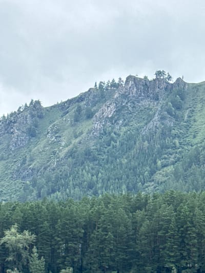 The image depicts a mountainous landscape under an overcast sky. In the foreground, a dense forest of dark green coniferous trees stretches across the frame. Behind the forest, the steep slopes of a mountain rise, covered in sparse vegetation and rocky outcrops. The upper portion of the mountain is characterized by jagged rock formations with scattered trees growing on them. The overall impression is one of a wild, natural environment, likely in a remote area. The city of Nizhnekayancha, Russia is mentioned as the location, suggesting this is a scenic vista from or near that settlement.