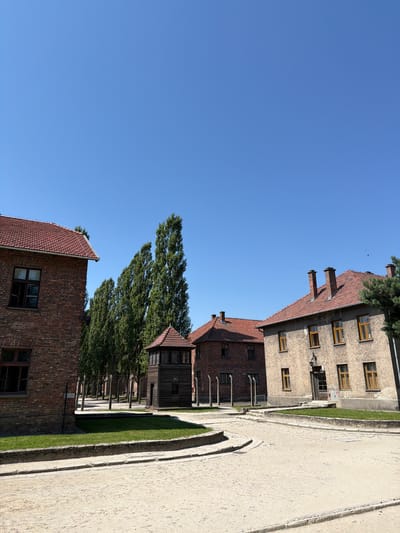 The image displays a street scene in Oświęcim, Poland, featuring a row of historic brick and stucco buildings under a clear blue sky. The buildings have red tile roofs and numerous windows, some with shutters. One building is constructed of light-colored stucco with multiple floors and many windows. Adjacent to it is a darker brick building with a red tile roof. Further down the street, another brick building with a red tile roof is visible, with a wooden structure also in view. Trees with green foliage line the street between the buildings. A paved walkway runs alongside the buildings, separated by a strip of grass. The scene appears to be set during the daytime, with bright sunlight casting shadows, suggesting fair weather. There are no people or specific activities depicted in the image. The overall impression is of an historical site with well-preserved architecture. There is no visible text in the image.