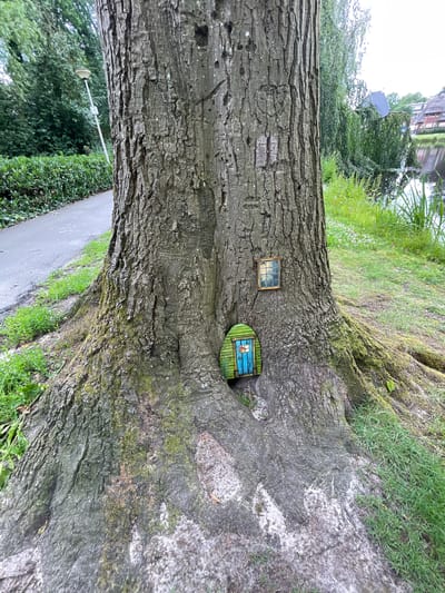 A thick, gnarled tree trunk dominates the foreground of this image, with a small, whimsical green door with blue planks and a red doorknob embedded in a hollow near its base. Above the door, a tiny framed window with a grid pattern is also affixed to the tree. The tree is situated on a grassy bank beside a paved path on the left, and a body of water with reeds on the right. In the background, lush green foliage and some buildings with thatched roofs are visible. This scene is located in Meppel, Netherlands, likely near a canal or waterway.