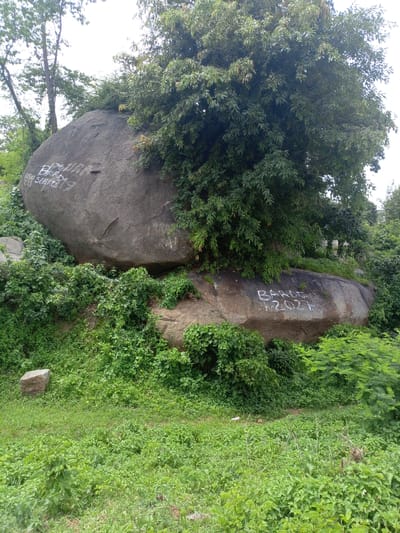 This image captures a natural landscape featuring large boulders in Rinjim Gani, Nigeria. The boulders are partially covered by lush green vegetation and trees. White graffiti is visible on the surface of two of the boulders; one reads "BIRD SCHARM" and the other reads "BARDE N 2021". The foreground is dominated by a grassy area interspersed with various green plants. The background shows more trees and a bright, overcast sky. There are no people or animals visible in the scene.